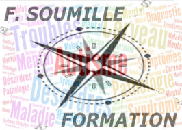 F. Soumille - Consultant Formateur Indépendant